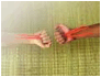 ͂